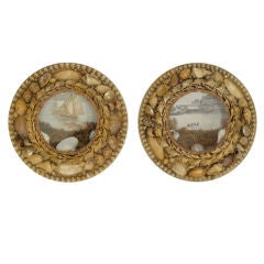 shell framed shadow boxes