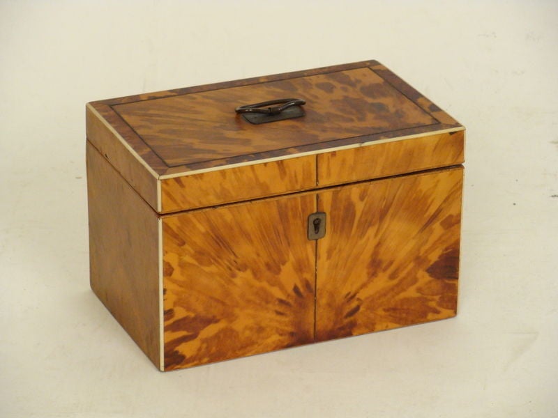 19th century tortoise and bone tea caddy