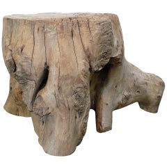 Scholars
 Stump Stool