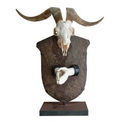 Currency of Faith by Cheryl Ekstrom