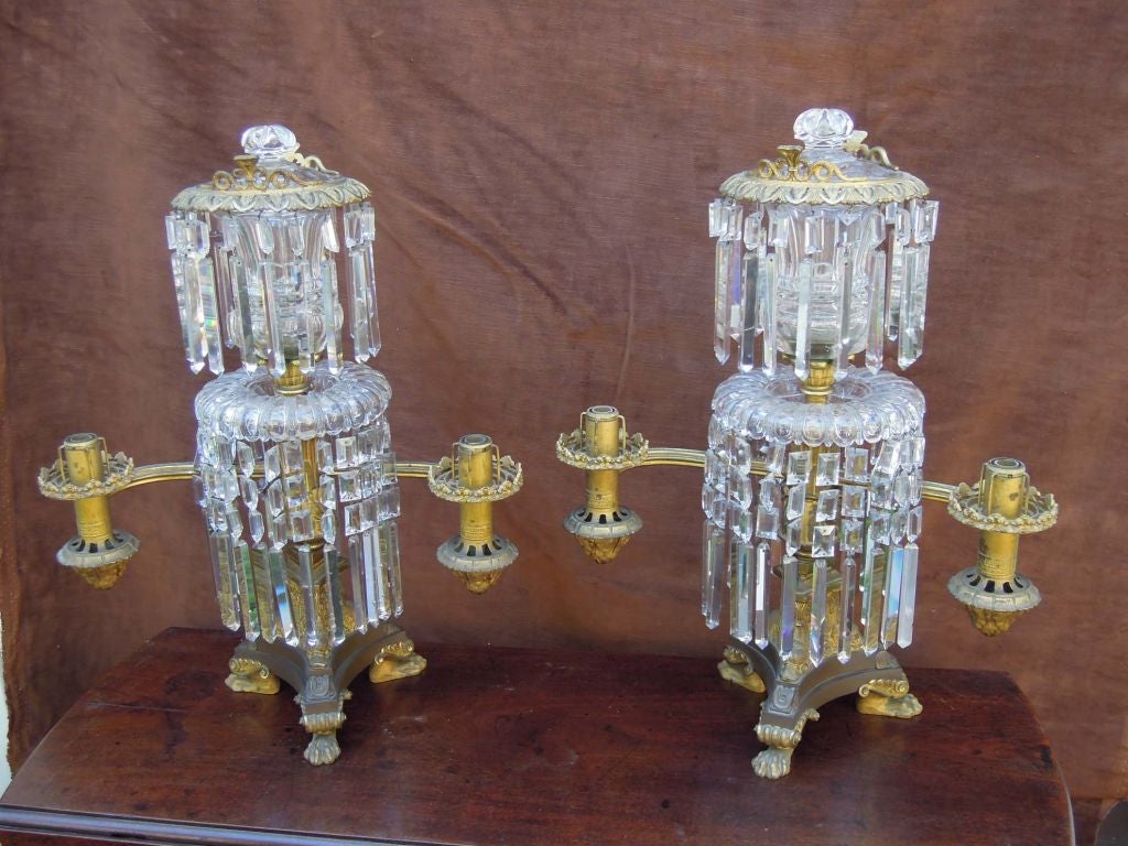 Außergewöhnliches Paar Gardiner-Lampen mitrgand-Muster (19. Jahrhundert)