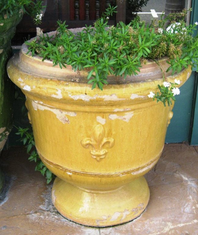 Five Pairs of Various French Anduz Terracotta Planters