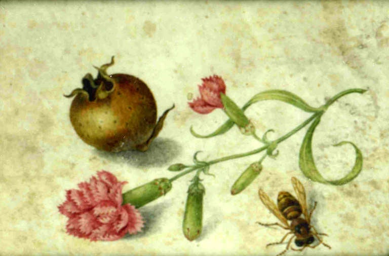 A nespolo, pink carnations and bee; in a carved and gilded wood frame.