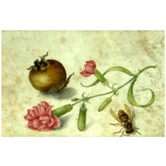 Antique A nespolo, pink carnations and bee; in a carved and gilded wood frame.