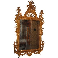 Pair Of Carved And Gilded Rococo Mirrors