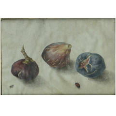 Three Ripened Figs with Beetle and Ant Painting by Giovanna Garzoni
