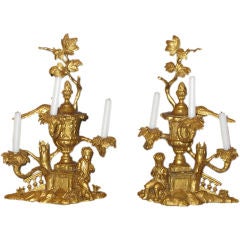 An unusually large pair of carved & gilded 3 light candelabra