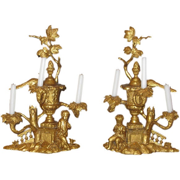 An unusually large pair of carved & gilded 3 light candelabra For Sale