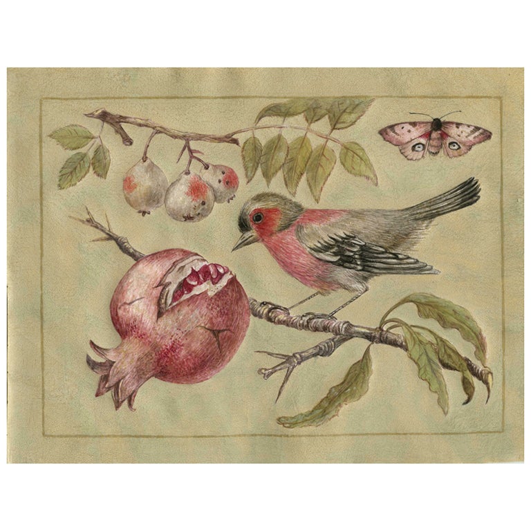Set of Five Tempera on Parchment, Birds, Bugs, Flowers and Fruit For Sale