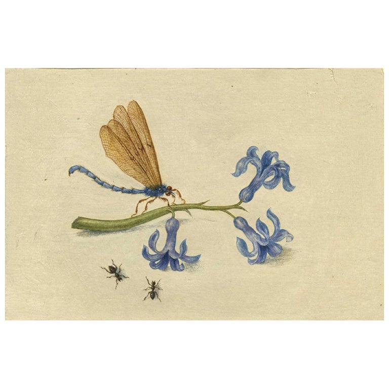 Honeysuckle with dragonfly and two ants For Sale