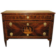 A Palisander, Tulipwood and Marquetry Commode