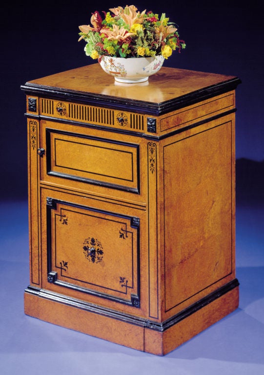 British George IV Amboyna Side Cabinet with Ebony Inlaid Decoration For Sale