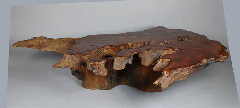 Large redwood coffee table, the natural, free-form slab mounted to a stump. Top is 5