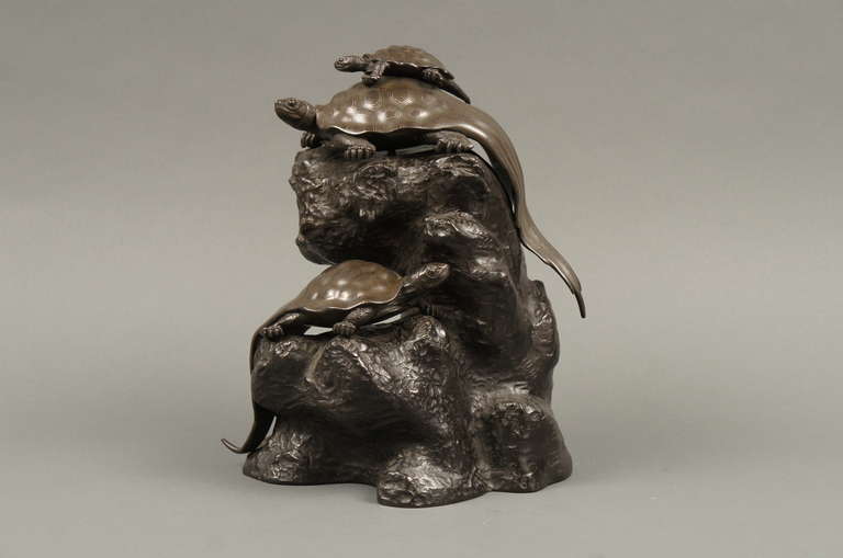 Bronze Turtles