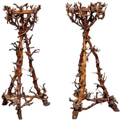 Paire de piédestaux de branche