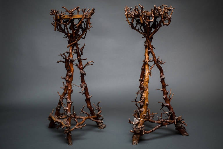 Pair of wonderful and unique, natural branch formation pedestals.