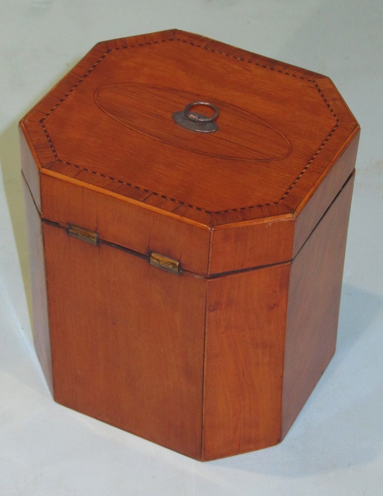 Acht achteckige Teedose aus Seidenholz mit Ebenholz-Intarsien, George III.