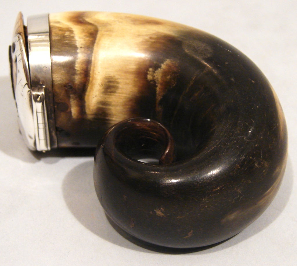 Scottish Silver Mounted Horn Snuff Mull 2