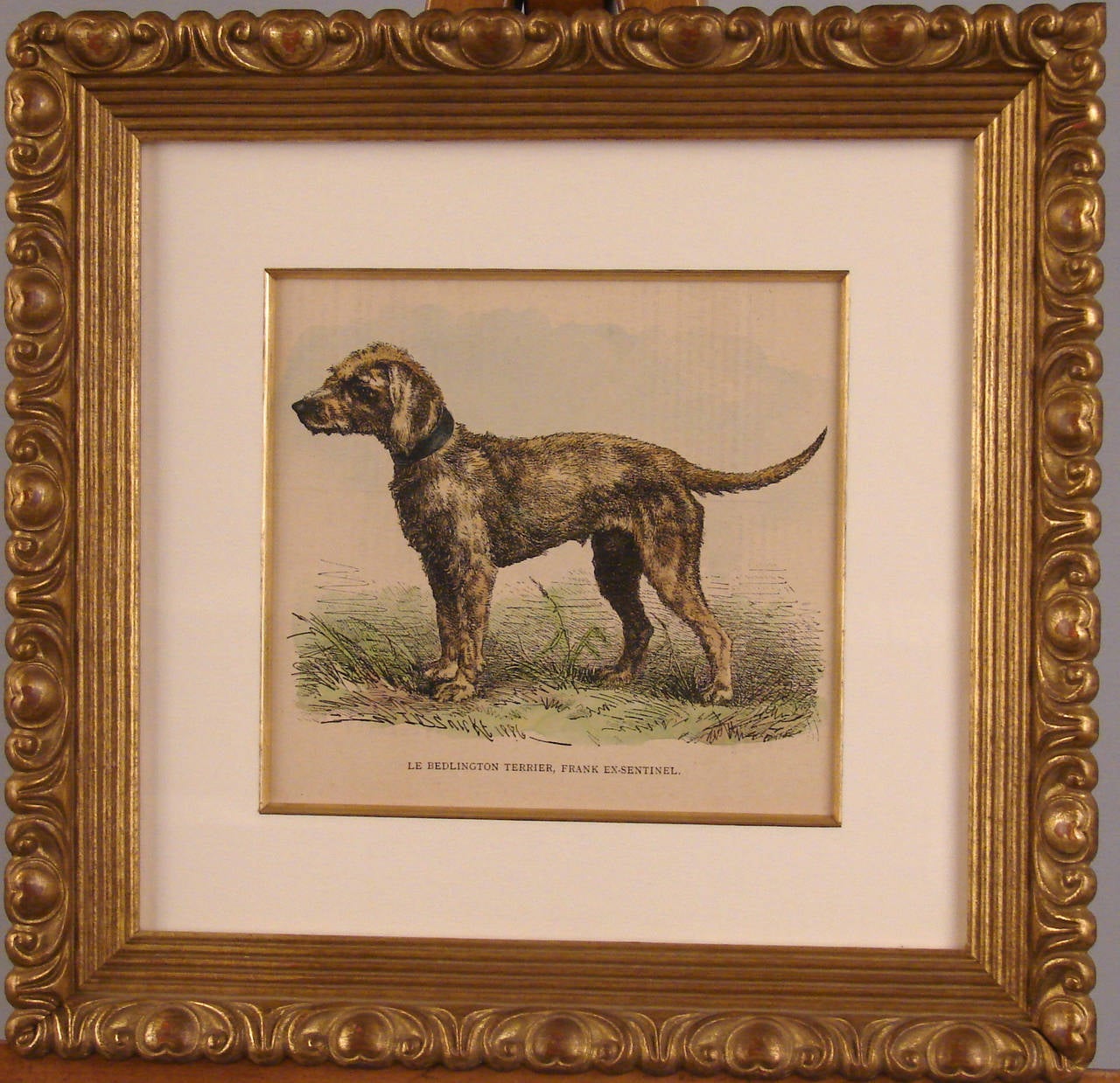 Grouping of Six French Colored Wood Engravings of Dogs In Excellent Condition In San Francisco, CA