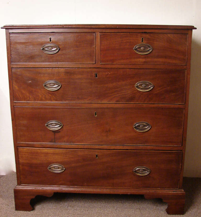 An English stained pine 5 drawer chest, the molded top over 2 short and 3 long drawers ending in bracket feet.