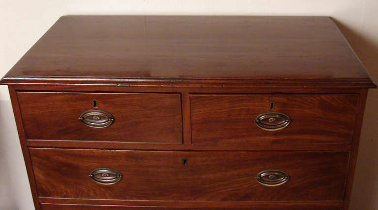 British Georgian Stained Pine 5 Drawer Chest