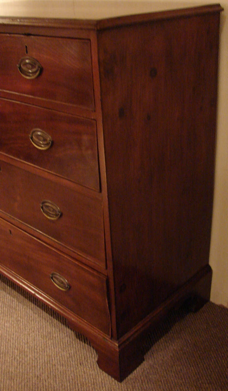 19th Century Georgian Stained Pine 5 Drawer Chest