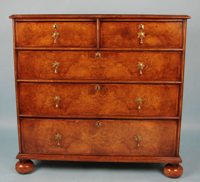 English Walnut 5-Drawer Chest