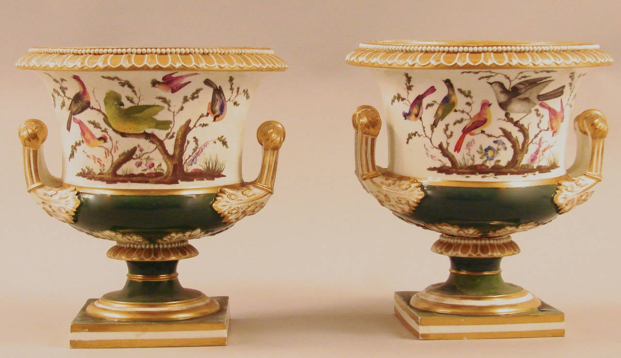 A pair of Bloor Derby porcelain campagna urns having beaded and acanthus molded gilt rims above bodies with hand-painted birds on branches above bands of gilt and hunter green rising on a circular stepped base. One with restoration.