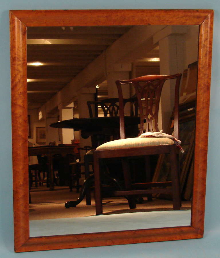 An English bird's eye maple framed mirror circa 1900.