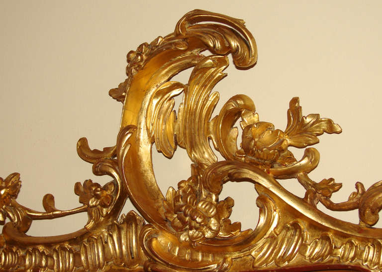 Louis XV Style Giltwood Mirror In Good Condition In San Francisco, CA