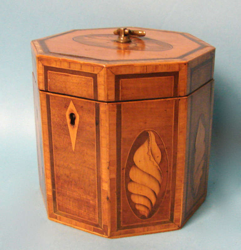 Fine George III Inlaid Satinwood Octagonal Tea Caddy