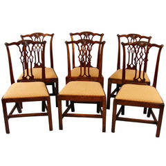 Antique Eight Chippendale Mahogany Dining Chairs