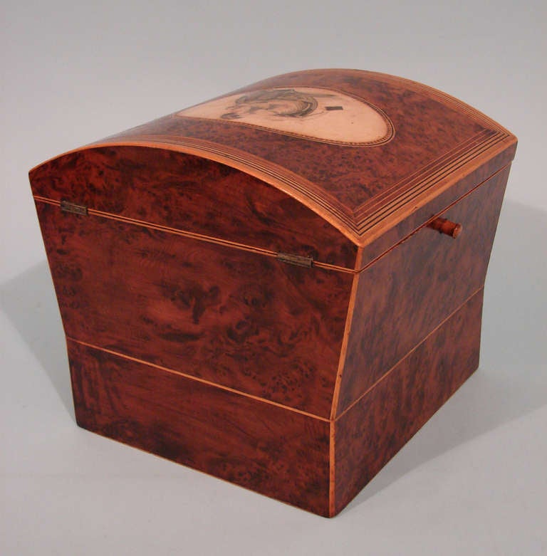 English Regency Burr Yew Wood Sewing Box In Excellent Condition In San Francisco, CA