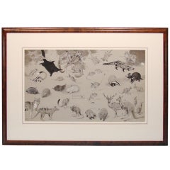 Interesting Pen and Ink of Marsupials by Neave Parker