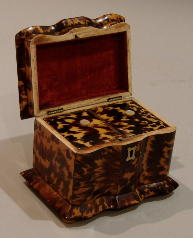 English pagoda top tortoiseshell tea caddy.