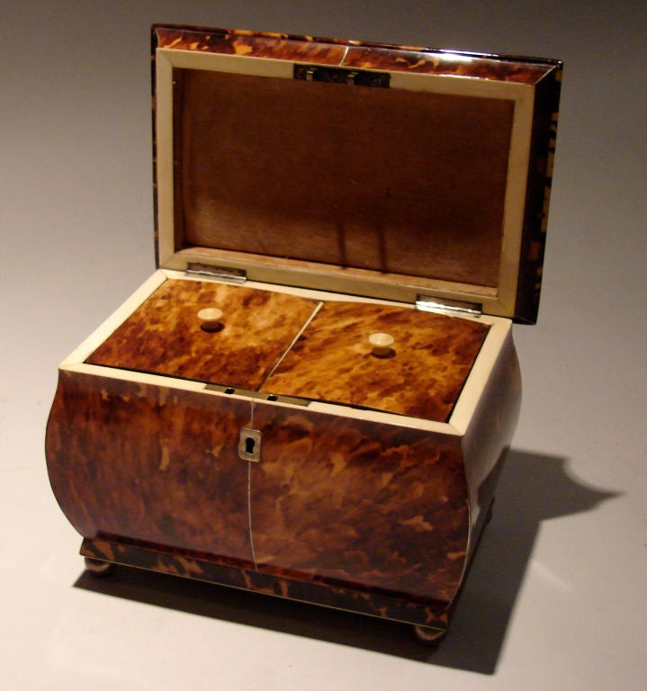 Fine English tortoiseshell mother of pearl inlaid tea caddy