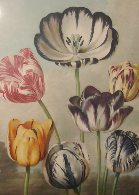 English Mezzotint 