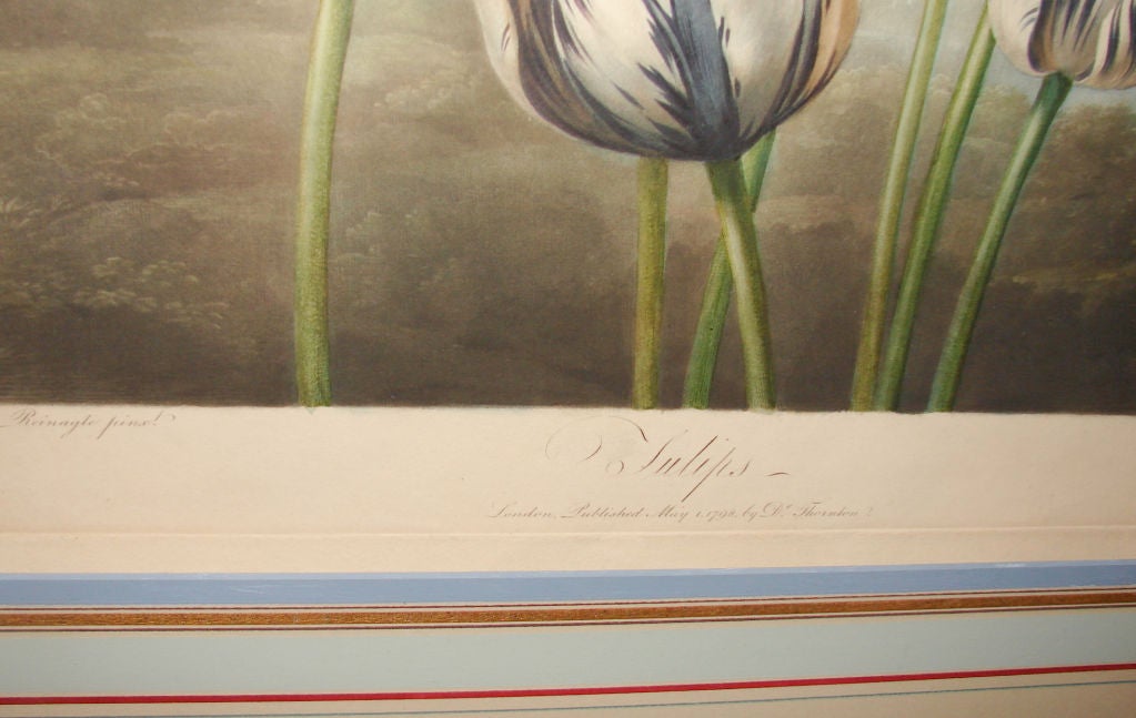 Mezzotint 
