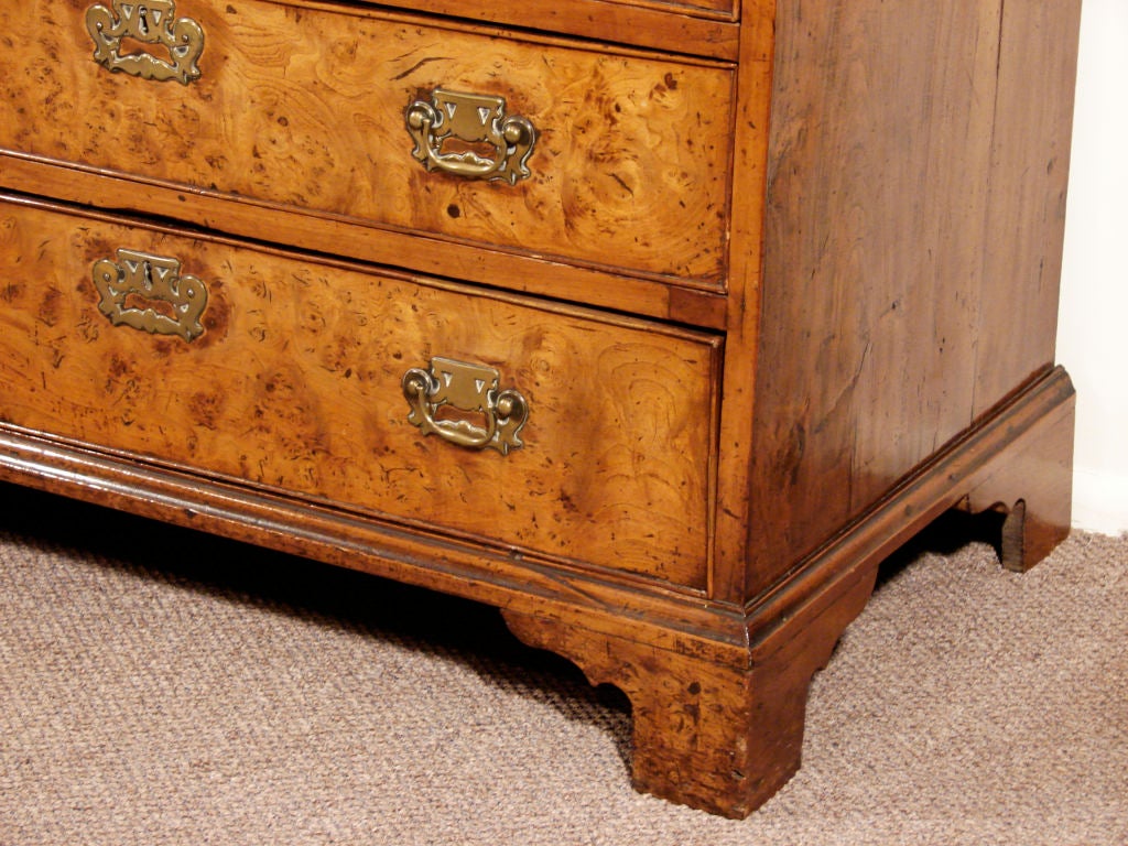 Elm Georgian burl elm slant front desk