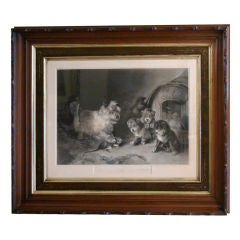 Large framed engraving of cairn terriers.