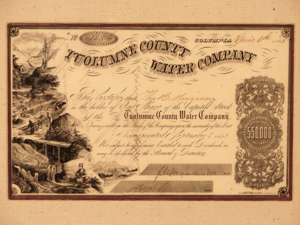American Early California Tuoleme County Water Company Stock Certificate