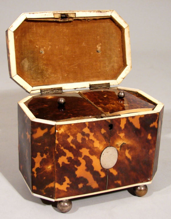 Tortoise Shell English Tortoiseshell Tea Caddy