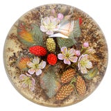 A Fine David Graeber Paperweight With A Mulberry Plant