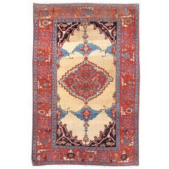 Elegant Bakhshaish Rug