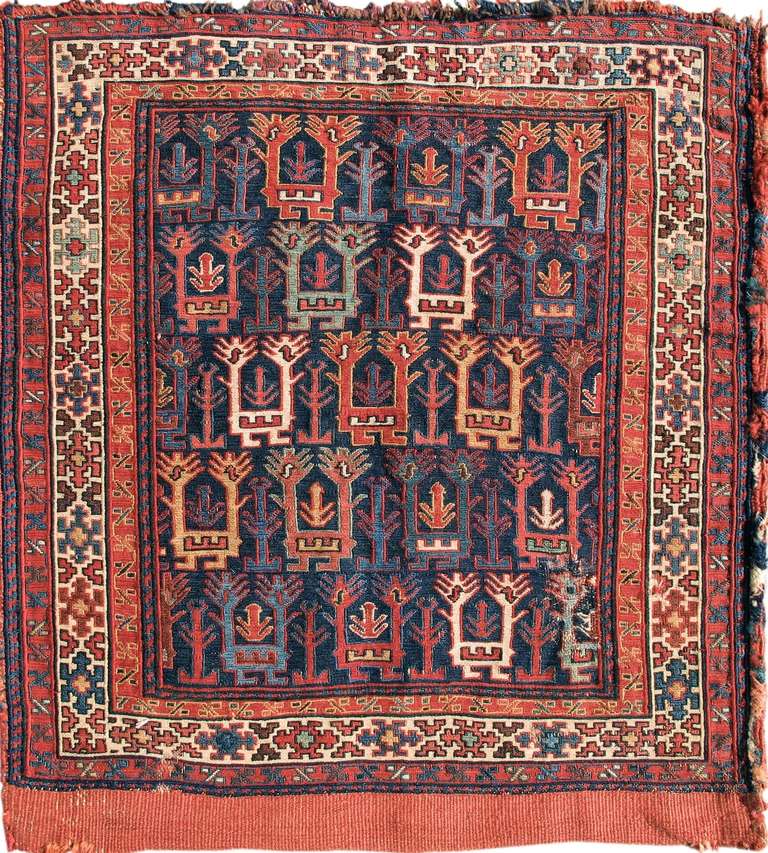 Utilitarian bags and trappings attributed to the Shahsevan of northwest Persia and the southern Caucasus are among both the most enigmatic and collectable of traditional weavings from the Near East and Central Asia. These elegant bags are woven in