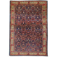 Fereghan Sarouk Garden Carpet 9
