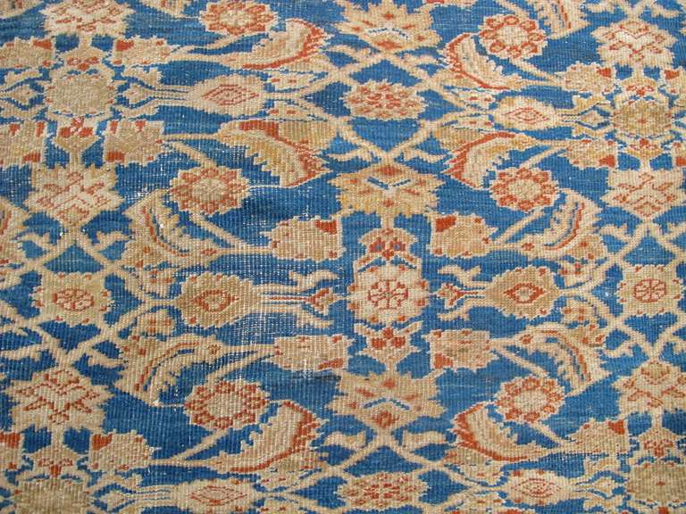 Late 19th Century Sultanabad Carpet with Light Blue Ground 3