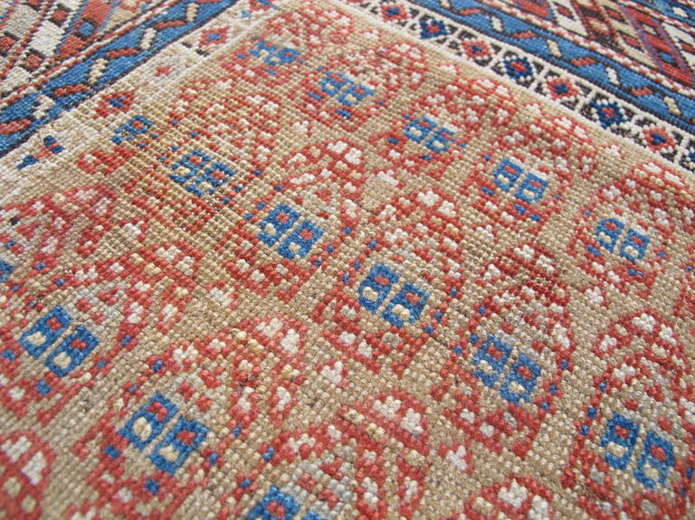 Wool Late 19th Century Red Shirvan Prayer Rug with Paisleys
