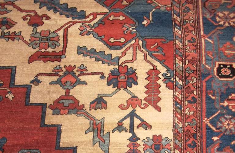 Persian Serapi Carpet 1