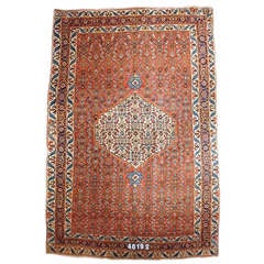 Late 19th Century Kurdish Bidjar Rug 8